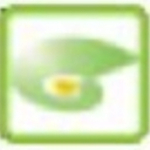 星光商務(wù)進銷存管理軟件 v0.3 官方版 