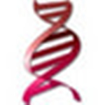 Oligo下載(引物設(shè)計(jì)軟件) v7.56 綠色版 