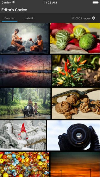 pixabay安卓中文下載 v1.0 手機(jī)版圖3