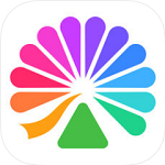 大麥手機客戶端 v7.4.0 ios版 