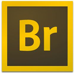 adobe bridge cc 2019中文版下載 破解版 