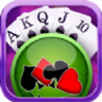 植物大戰(zhàn)僵尸花園戰(zhàn)爭 V1.0.07