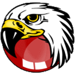 BlackHawk Web Browser(黑鷹Web瀏覽器) v4.0.100.1124 最新官方版 