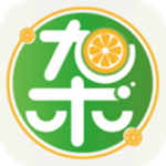 雜鮮下載 v1.0 安卓版 