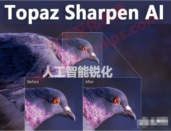 Topaz Sharpen AI下載