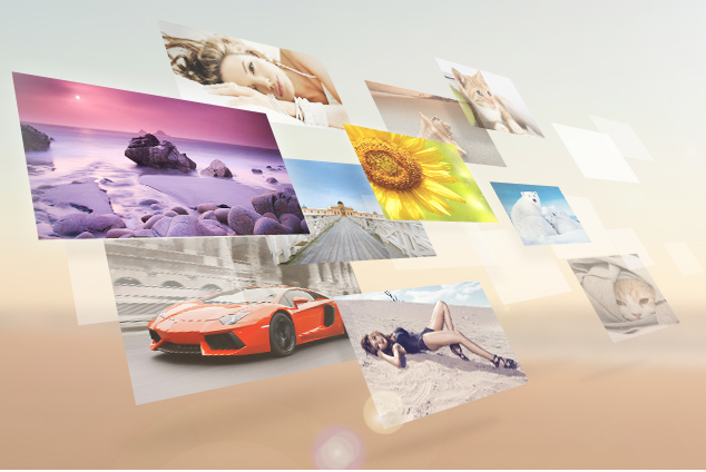 360小鳥壁紙軟件下載