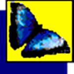 MacKichan Scientific Workplace(論文排版軟件) v5.5.2960 免費版 