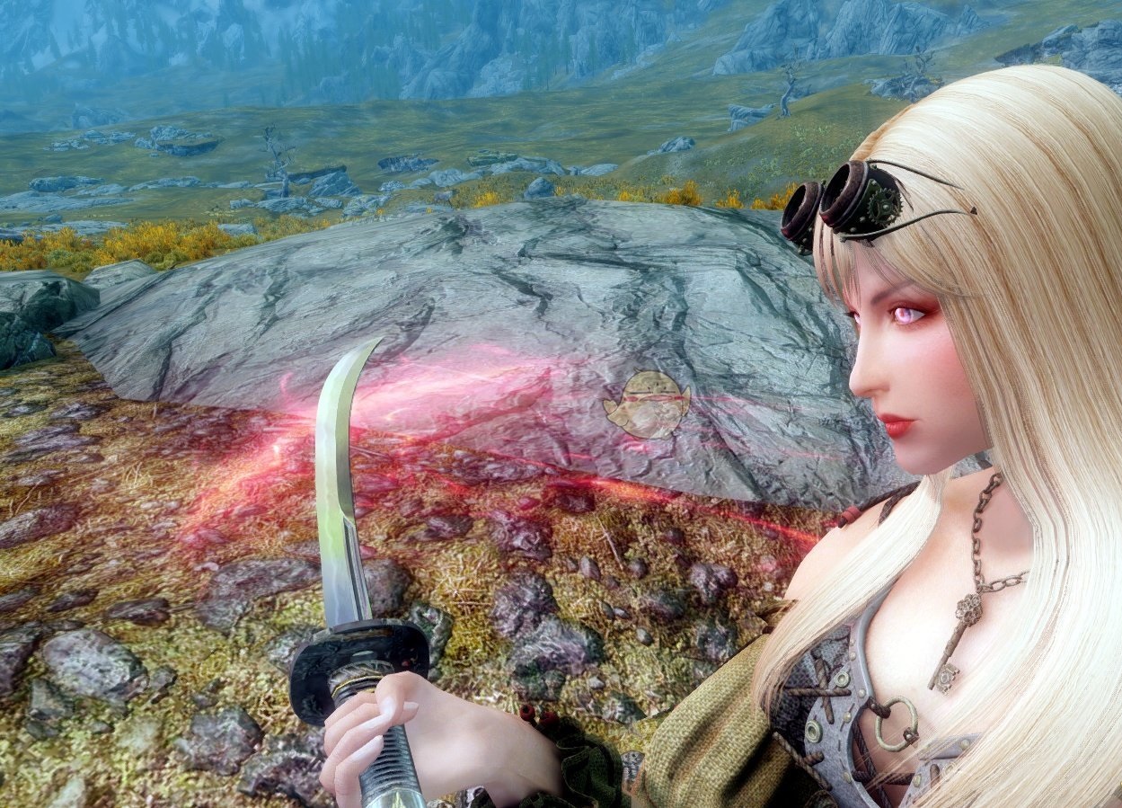 上古卷軸5雙手劍北歐女戰(zhàn)士隨從MOD下載