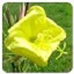 Alternate Splitter漢化版 v1.610 官方版 