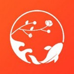 幸運(yùn)錦鯉 v1.0.0 安卓版 