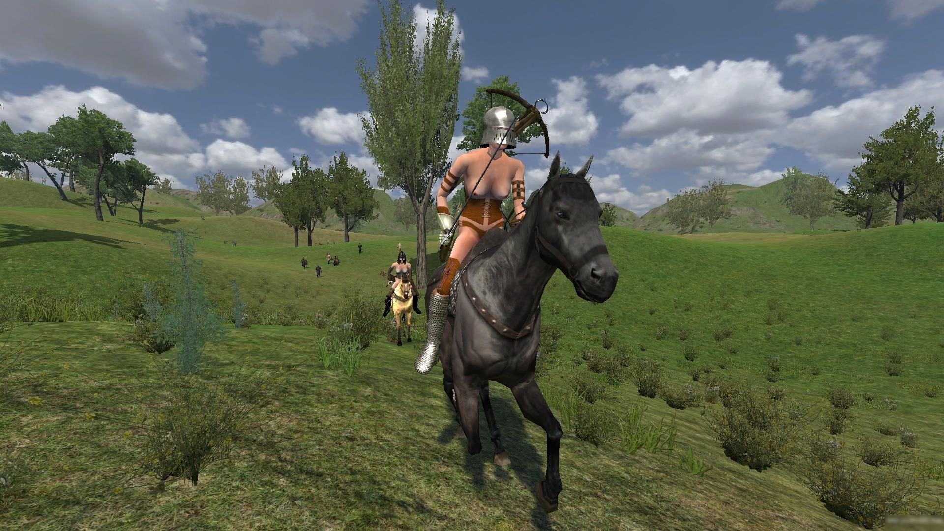 騎馬與砍殺戰(zhàn)團(tuán)破解補(bǔ)丁1.172