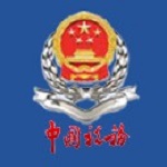 重慶國稅電子稅務(wù)局網(wǎng)上申報系統(tǒng) v1.0 官方版 