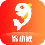 錦小鯉 v1.0.0 安卓版 