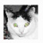 Roadkils Unstoppable Copier最新版 v5.2 官方版 