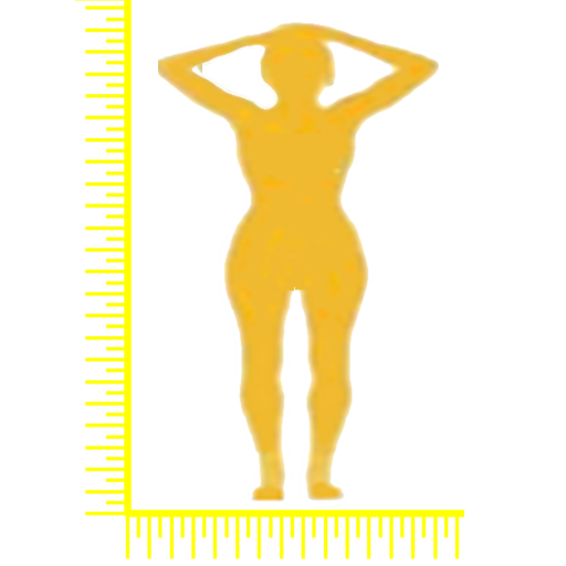 測身姿v1.0最新版 