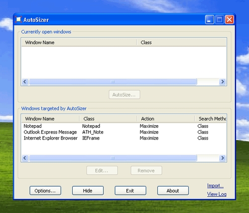AutoSizer(窗口自動(dòng)調(diào)整器) V1.71 英文綠色免費(fèi)版圖1