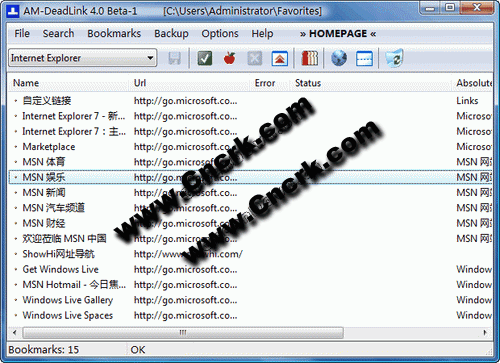 AM-DeadLink V3.3 Final 英文綠色免費(fèi)版圖1