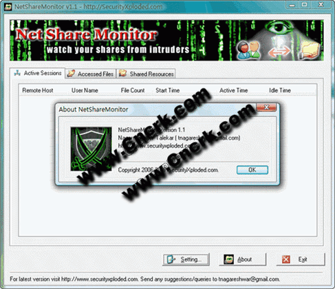 NetShareMonitor V1.1 英文綠色免費(fèi)版圖1