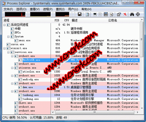Process Explorer x64 V14.10 漢化綠色免費(fèi)版圖1