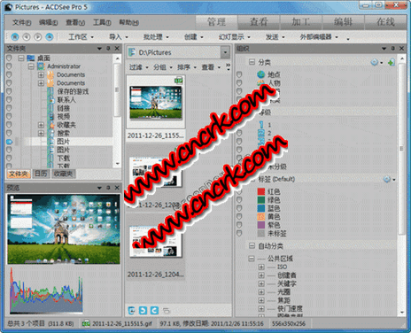 ACDSee Pro V5.1.137 綠色便攜版下載圖1