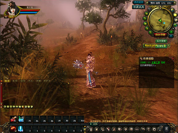 御龍?jiān)谔?  width=