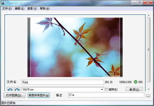 JPEGCrops(圖片裁剪軟件) V1.0 綠色漢化版圖1